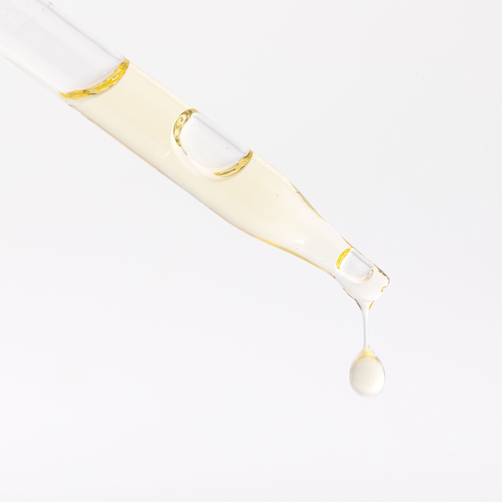 Prickly Pear Seed Oil